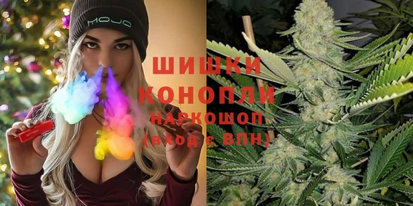 соль ск Гусев