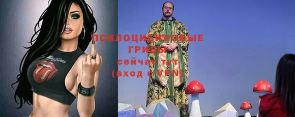 винт Гусь-Хрустальный