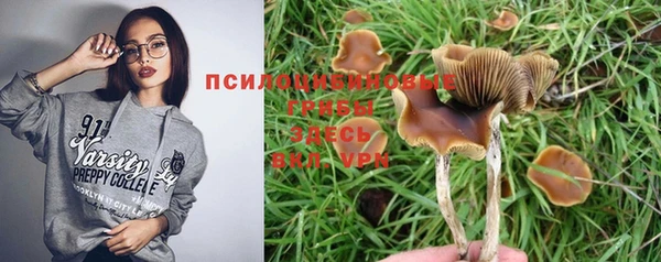 соль ск Гусев