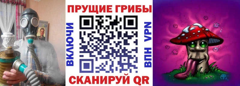 как найти   Тамбов  Псилоцибиновые грибы MAGIC MUSHROOMS 