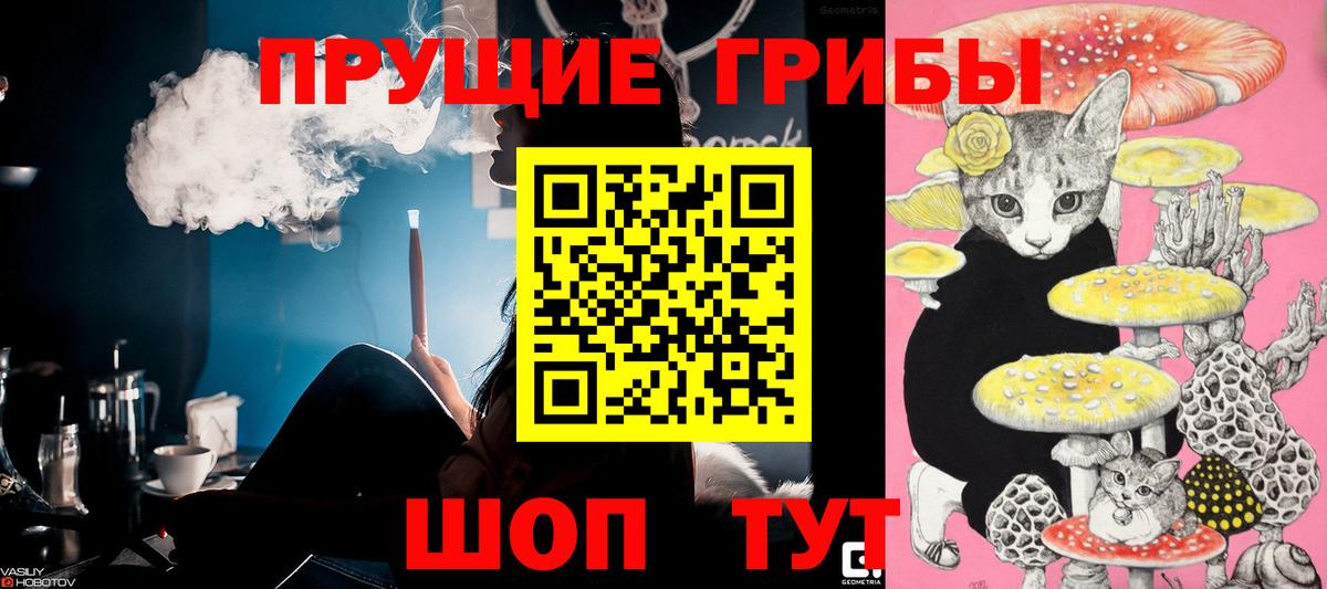 Псилоцибиновые грибы прущие грибы Тамбов
