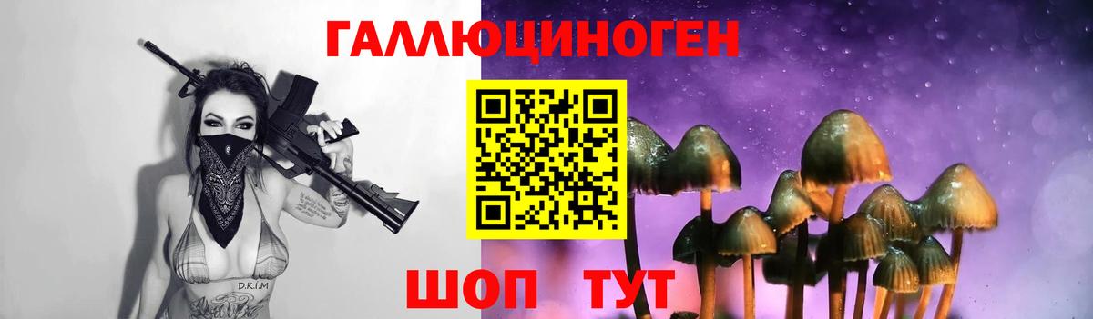 Галлюциногенные грибы мухоморы  Галлюциногенные грибы Cubensis  Вход с VPN  Тамбов 