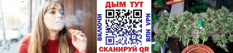 Марихуана план  цена наркотик  Тамбов 